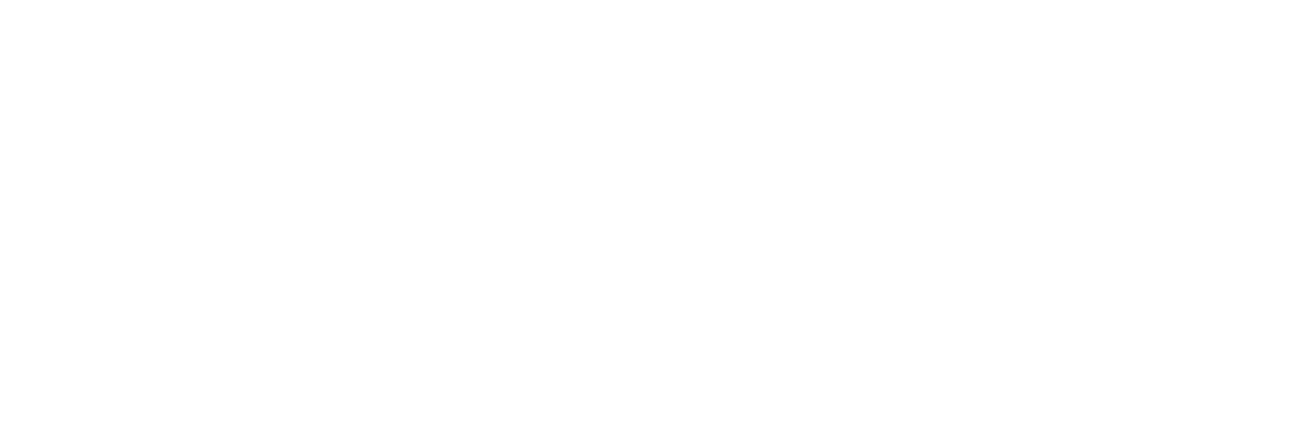 Taiwan Pass 台灣好玩卡 Logo